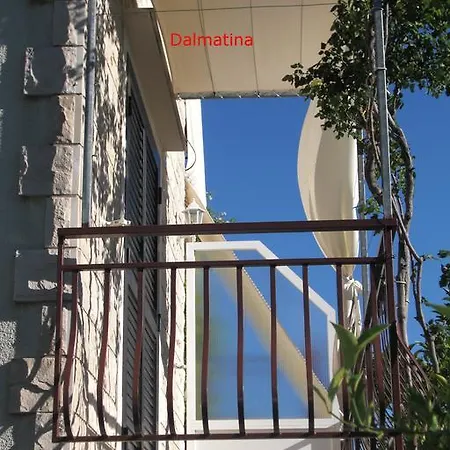 Dalmatina أوروبيتش