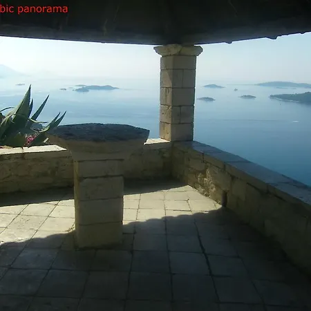 Dalmatina أوروبيتش