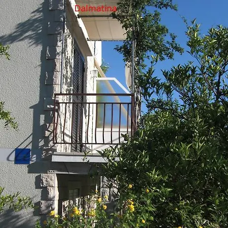 Dalmatina