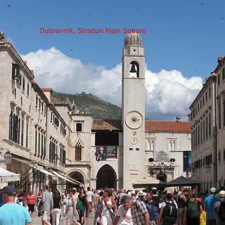 Dalmatina Apartman *